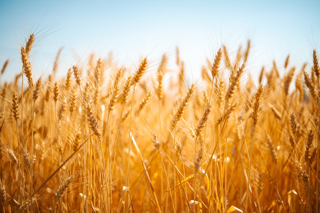 Pacific Ag